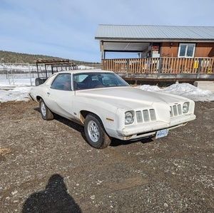 Meet your Posher, Wayne